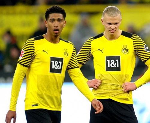 森林狼外线火力全开（森林狼外线手感爆棚）