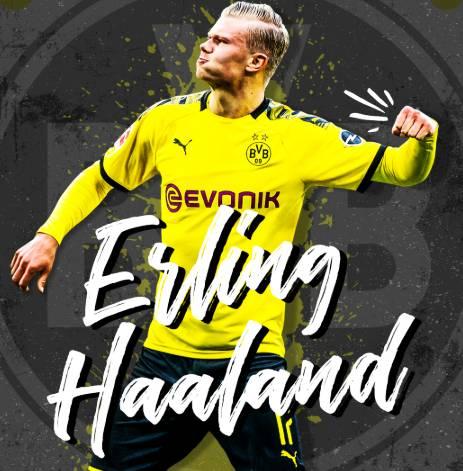 不看好邵佳一执教国足❗详细介绍邵佳一履历❗（邵佳一执教国足前景存疑：履历详解）